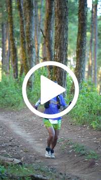 BIB:  <button type="button" onclick="openModal(27340249)" class="btn btn-primary btn-sm float-right" data-toggle="modal" data-target=".modal-high-quality">
                <i class="fa fa-download"></i> Download
                </button>